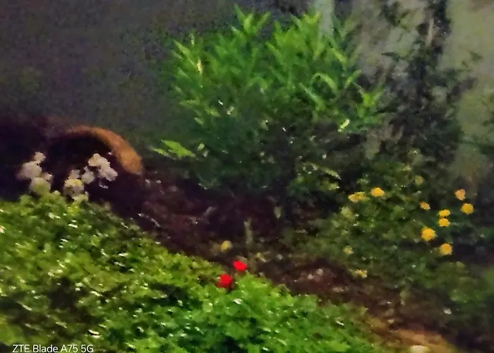 Bed and Breakfast La Fenice